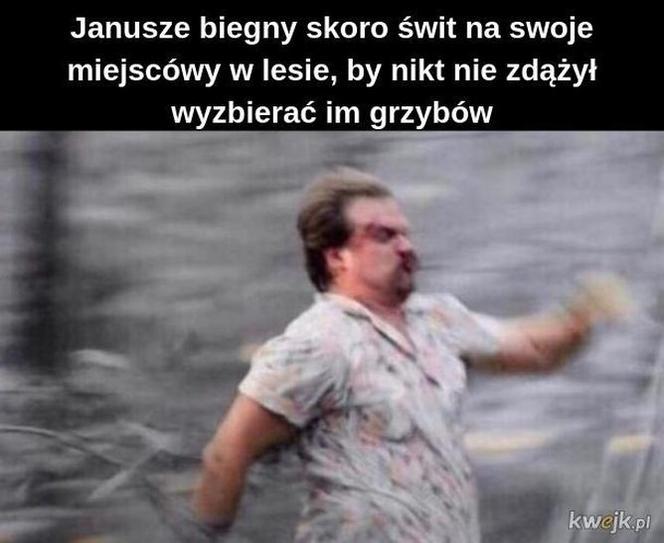 Nóż się w kieszeni otwiera i Janusz i szykuje się na grzyby! MEMY o grzybobraniu [GALERIA]