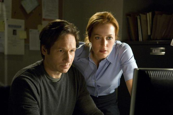 Z Archiwum X. David Duchovny, Gillian Anderson