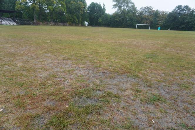 Zniszczona murawa na stadionie w Skarżysku