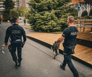 Polscy policjanci jadą pilnować porządku we Francji! Mowa jest o milionach ludzi