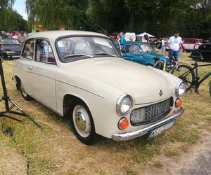 Siedlce:  16. Zlot Pojazdów Zabytkowych „Mrowisko”