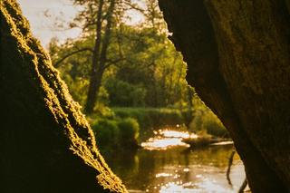 Poznań Design Festiwal - przed nami cykl letnich warsztatów