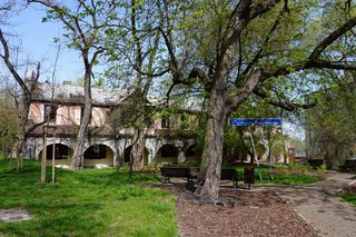 Klimatyczne miejsce w centrum Lublina - skwer im. bł. ks. Antoniego Zawistowskiego 