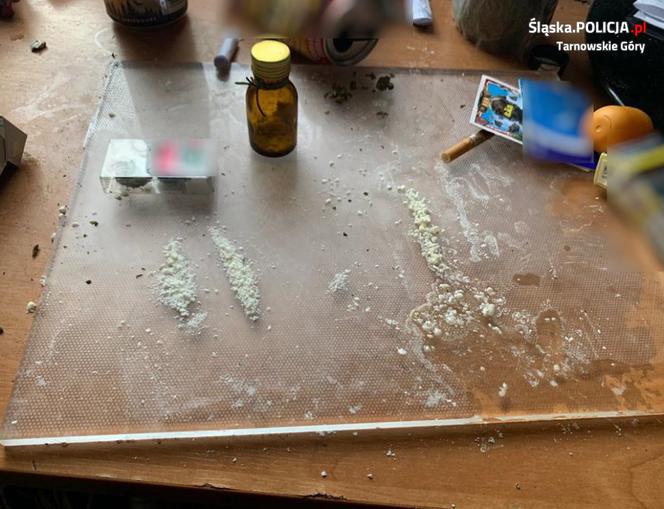 Tarnowskie Góry: Policjant znalazł w mieszkaniu 35-latka amunicję, narkotyki i plantację [ZDJĘCIA]