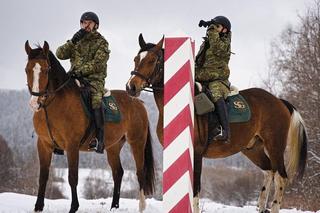 Straż Graniczna z nowymi funkcjonariuszami. Konie dzielnie bronią polskiej granicy. Widzą to, czego człowiek nie widzi