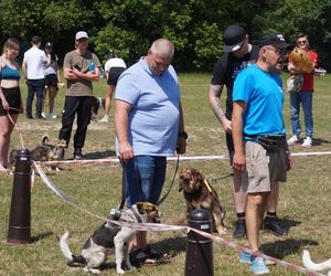 Psia radość i ludzkie serca. Myślęcinek pełen dobrych ludzi i ich czworonogów