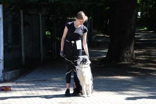 Psiebiegnij się po raz ósmy. Torunianie biegiem na pomoc Schronisku dla Bezdomnych Zwierząt [AUDIO]