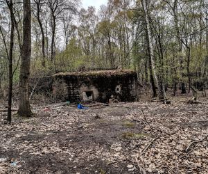 Zamordowali Karinę i Kamila dla szatana. Czy zło wciąż błąka się po bunkrze w Halembie?