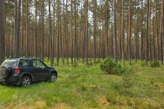 Makabryczne odkrycie w lesie. Najpierw samochód, potem ciało!
