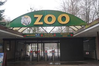 Zoo Poznań ze specjalnym programem na grudzień. Co będzie się działo?