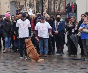 Golden Retriever WOŚP w Poznaniu