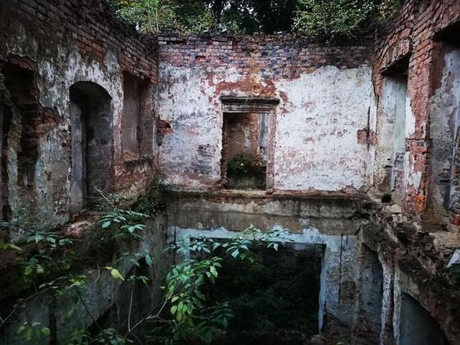 MROCZNY dwór w Małopolsce. TAJEMNICZE ruiny zamieszkują duchy? Sprawdź [ZDJĘCIA]