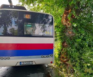 Pod Bydgoszczą autobus podmiejski uderzył w drzewo. Kilkanaście osób jest rannych!