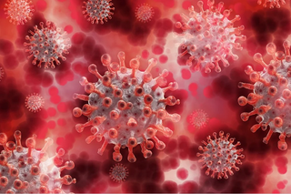 Chosta-2: Rosyjski koronawirus odporny na szczepionki? Pochodzi od nietoperzy