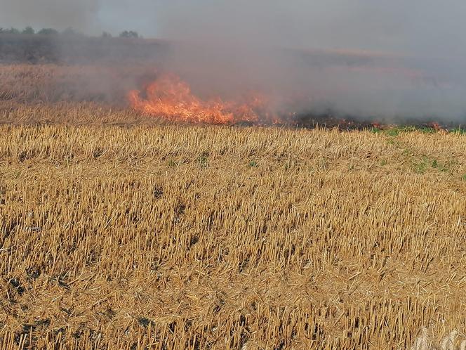 Dwa pożary zboża oraz rżyska w powiecie braniewskim