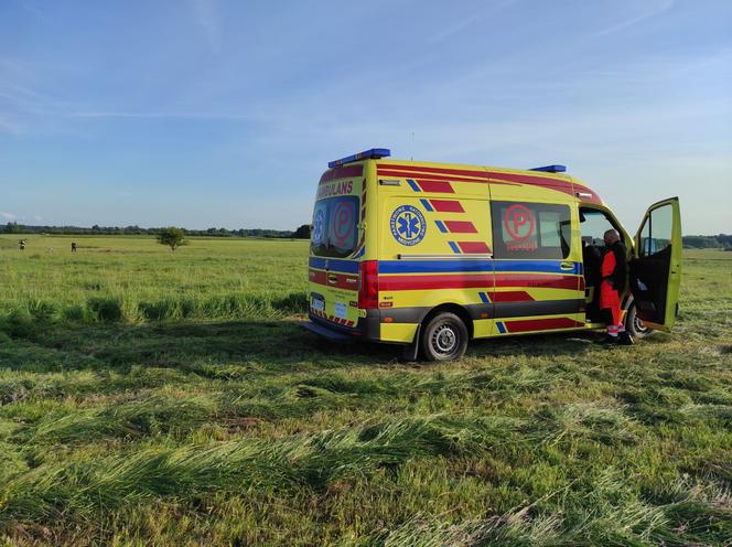 "Diabeł" zabił Zbyszka. Rozjuszony byk zaatakował rolnika pod Braniewem