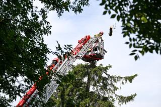 Straż pożarna usuwa skutki nawałnic. Ponad 100 interwencji na Podkarpaciu!