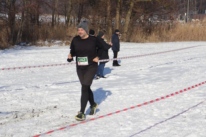 Bieg Zwycięskiego Powstania Wielkopolskiego nad Strzeszynkiem