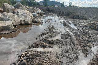 Potok Rycerski rozjechany niczym autostrada. Mogło zginąć kilka tysięcy ryb