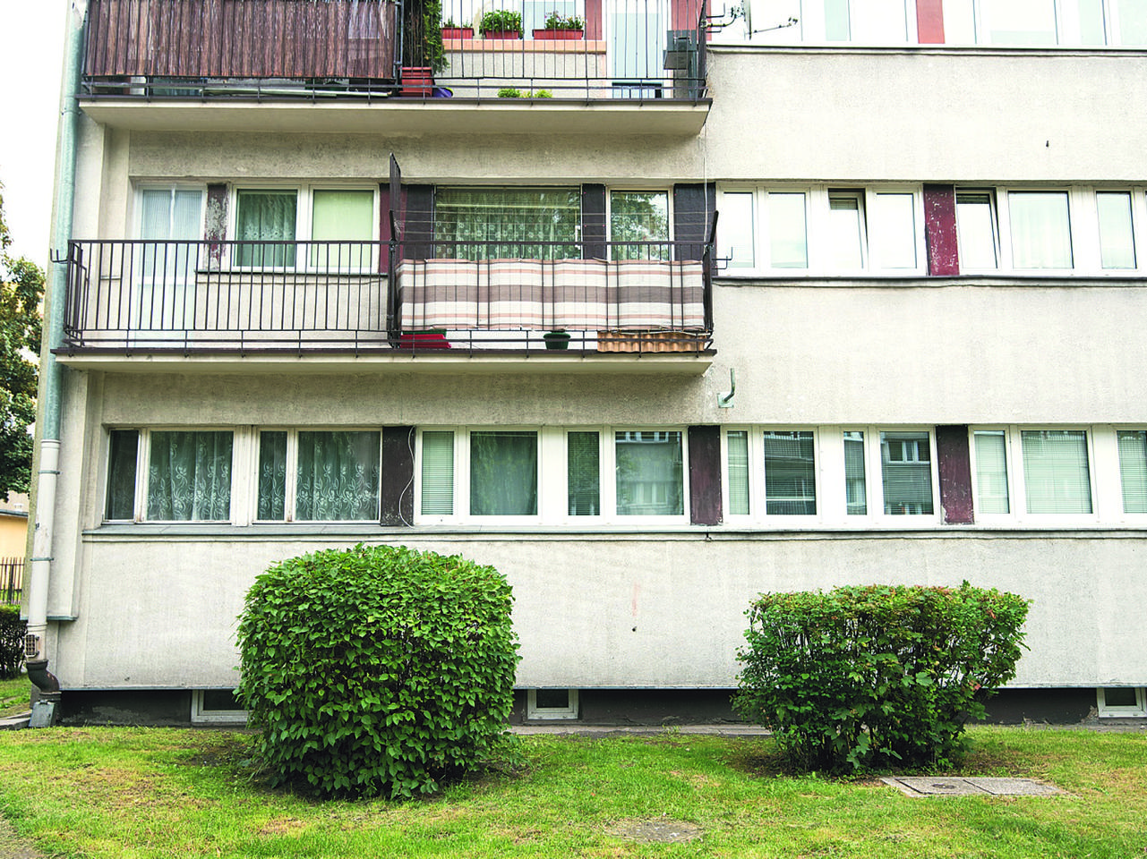 KRĘCIŁ PORNO ZE SWOIMI CÓRKAMI