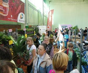 Festiwal Roślin w Siedlcach już trwa