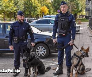 Strzelce: Nieziemski duet w lubuskiej policji. Cerber i Hades na służbie