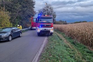 Ciało mężczyzny znalezione w pobliżu drogi! Dwie osoby zatrzymane po tragedii w gminie Izbica Kujawska