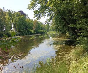 Parki podworskie w powiecie gdańskim