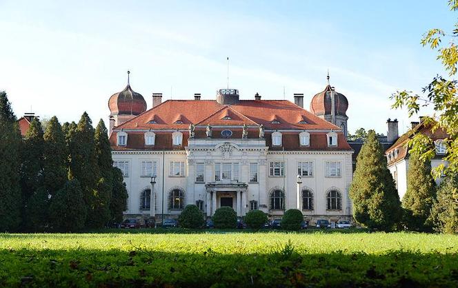 Pałac w Brynku - zobacz zdjęcia pięknej rezydencji magnackiej. Jak wygląda w środku?