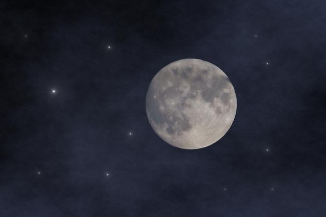 Pełnia Wilczego Księżyca: Kiedy pełnia w styczniu 2021? Skąd wzięła się jej nazwa?