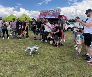 XI Rodzinny Piknik Lotniczy w Gryźlinach