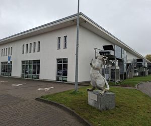 Nie krasnal, a szczur. Wrocław ma nowy, zaskakujący pomnik z ważnym przesłaniem