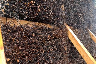 Na Sławinku będzie można zdrowo odetchnąć. W Lublinie powstała pierwsza tężnia solankowa