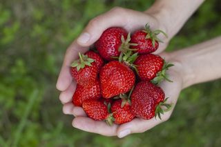 Ponad milion Polaków nie może jeść truskawek ze względu na serce? Wyjaśniamy