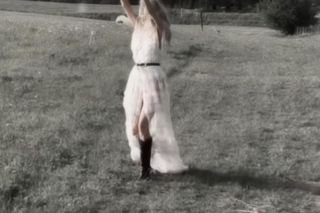 Agnieszka Woźniak-Starak