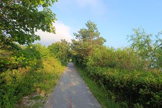 Przejechałam się jedną z najpiękniejszych tras rowerowych w Polsce. Widoki robią wrażenie!