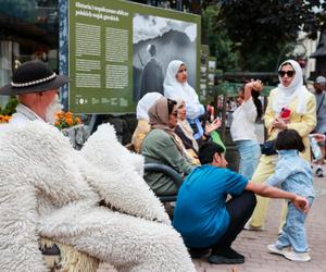 Arabowie szturmują Zakopane. Ten filmik to hit internetu. Dosłownie tak to wygląda