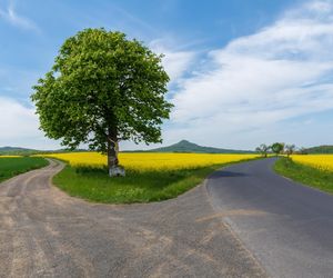 Ostrzyca Proboszczowicka, nazywana Śląską Fujiyamą