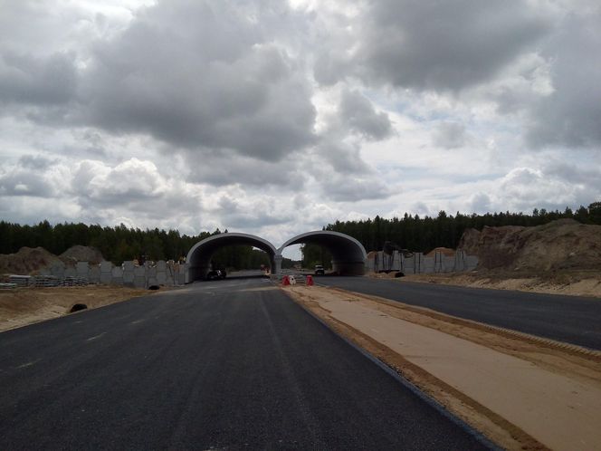 Budowa odcinka S19 Haćki-Bielsk Podlaski