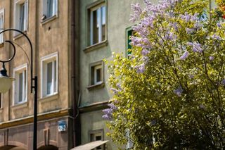 Śląska Lokacja Filmowa 2024. Zwycięzcą plebiscytu zostało tyskie osiedle A.