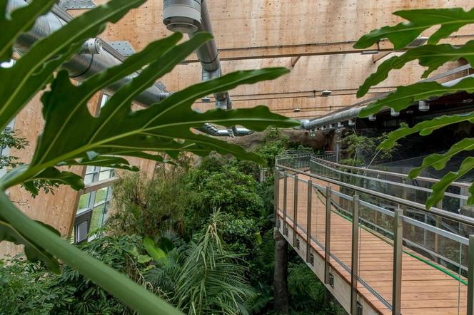 Pawilon lasu deszczowego w Śląskim Ogrodzie Zoologicznym w Chorzowie