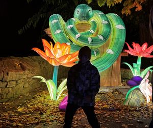 Garden of Lights we Wrocławiu