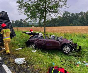 Karambol na DK 24 pod Międzyrzeczem. Zderzenie dwóch osobówek i dwóch ciężarówek