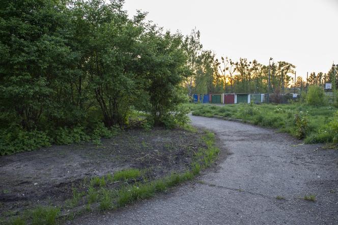 W Bytomiu powstanie Dżońcio Park. Będzie to strefa rekreacji dla psów i ich właścicieli