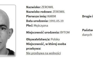 Rejestr Przestępców Seksualnych z województwa śląskiego [ZDJĘCIA]