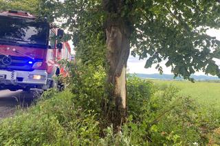  Tico wypadło z drogi i roztrzaskało się na drzewie. 55-latek zginął na miejscu 