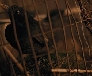 Tak powstawał film Rój 