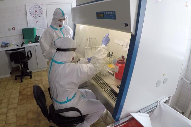Testy na koronawirusa w Łomży. To trzecie laboratorium w regionie. Koronawirus w Polsce