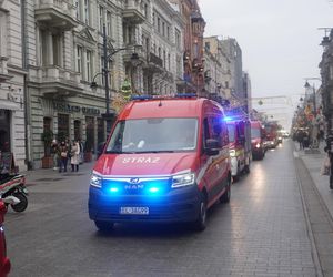 Wielka Szarża w centrum Łodzi. Oddziały konne przeszły przez Piotrkowską