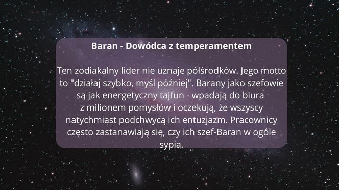 Zodiakalne style zarządzania: Kiedy gwiazdy wkraczają do biura